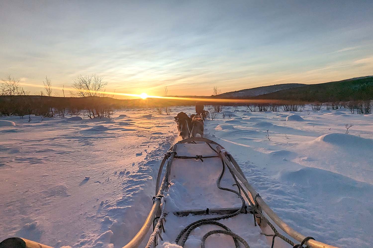 Booted & Suited for The Arctic