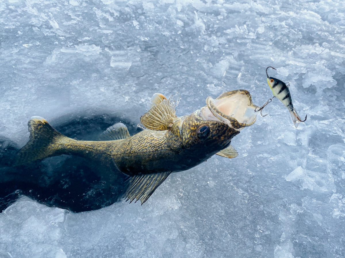 Re-Jig Your Fishing Experience