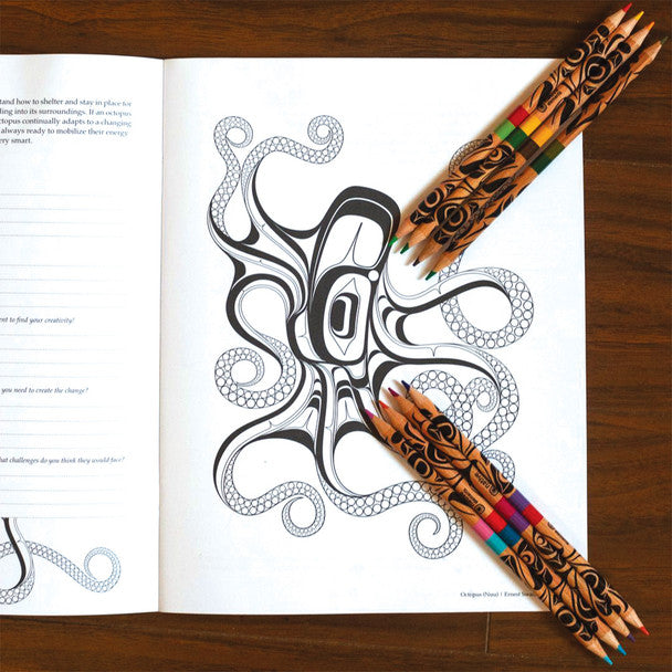 Indigenous Art Colouring Pencils - 12 Pack