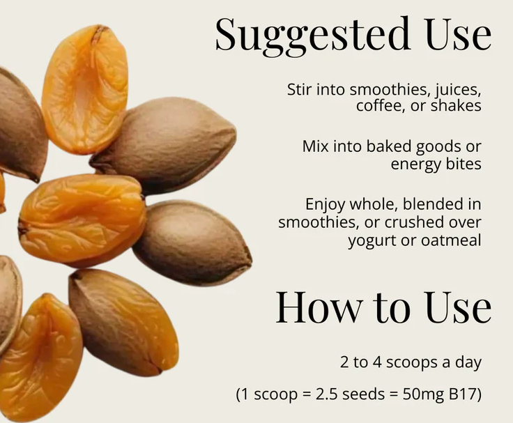 Bitter Apricot Seed Meal - 16oz.