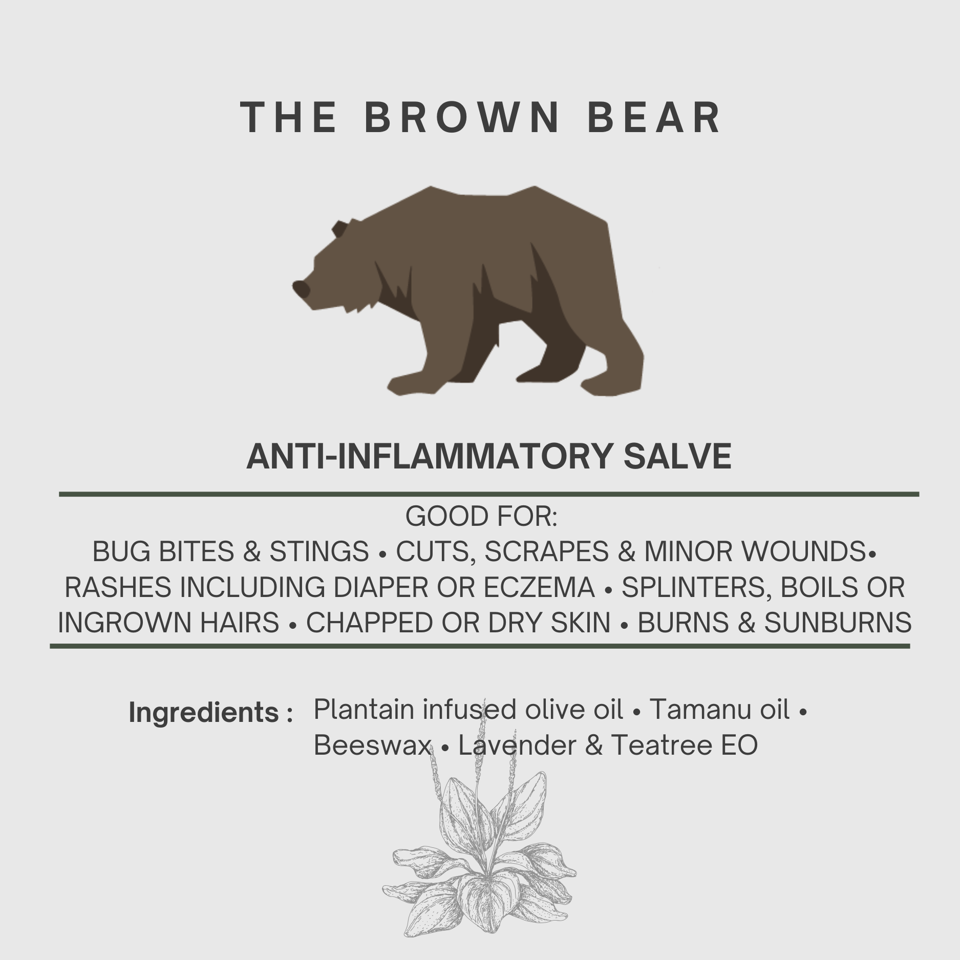 'The Brown Bear' Anti Inflammatory Salve