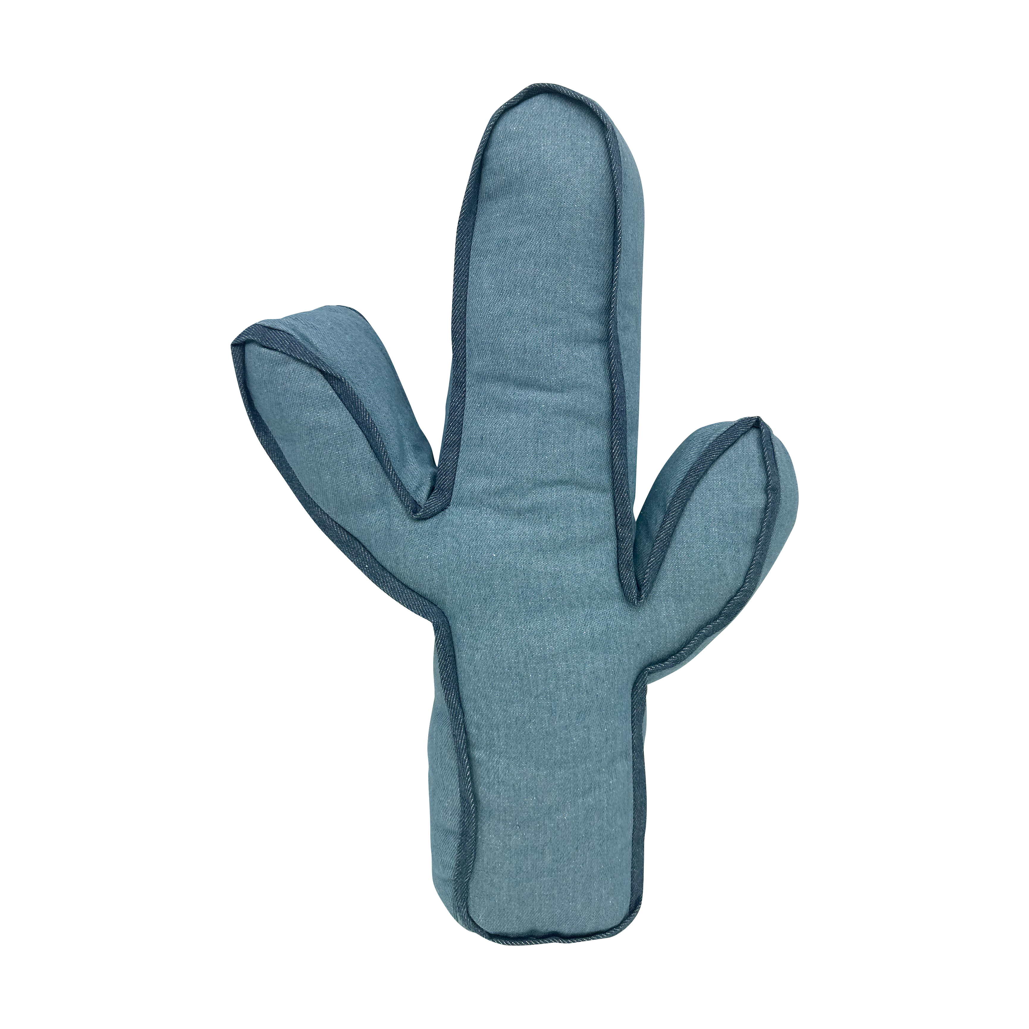 Cactus Accent Pillow