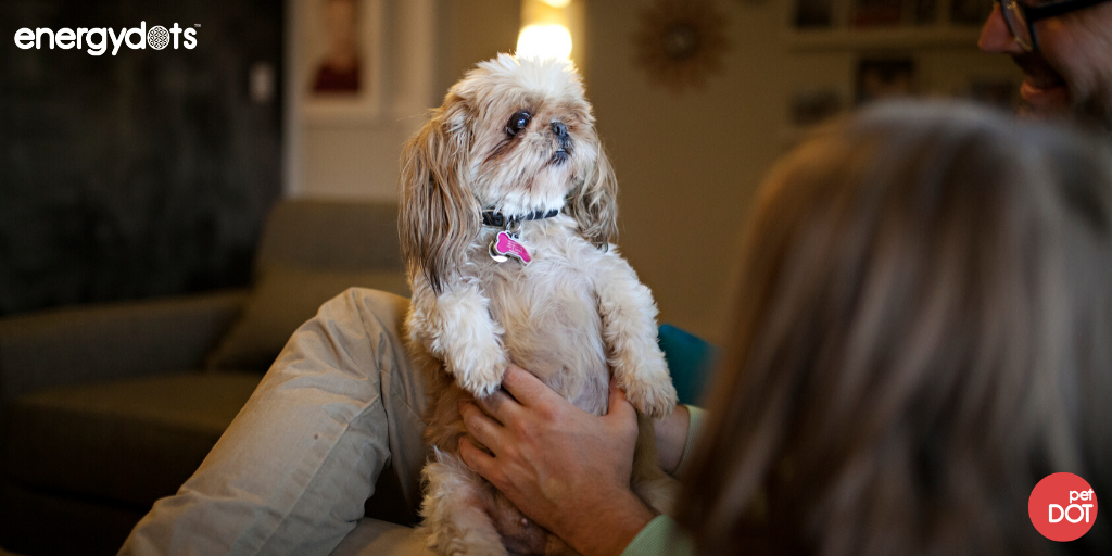 Energydots PetDOT + AquaDOT