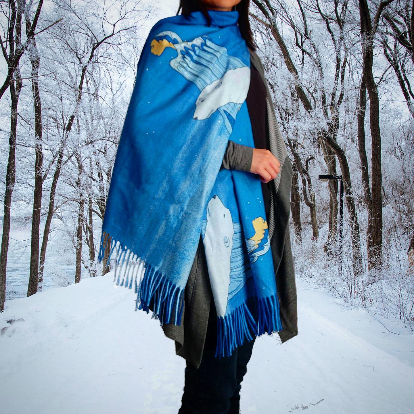 Native American Eco Art Shawl