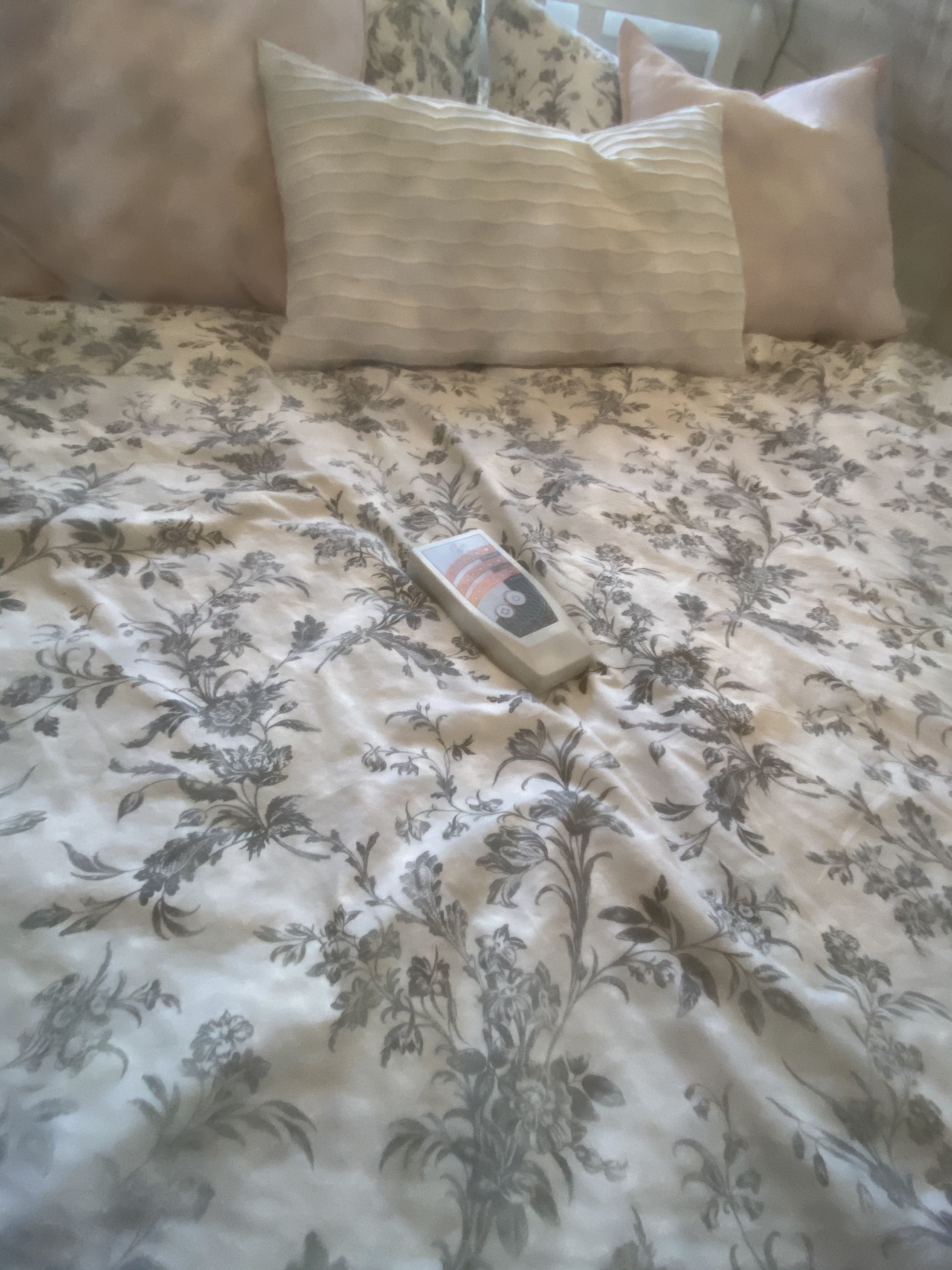 EMF Protection Canopy (Promotional Item)