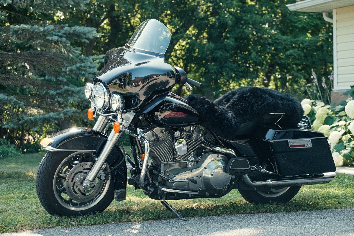 Motorcycle Seat Cover