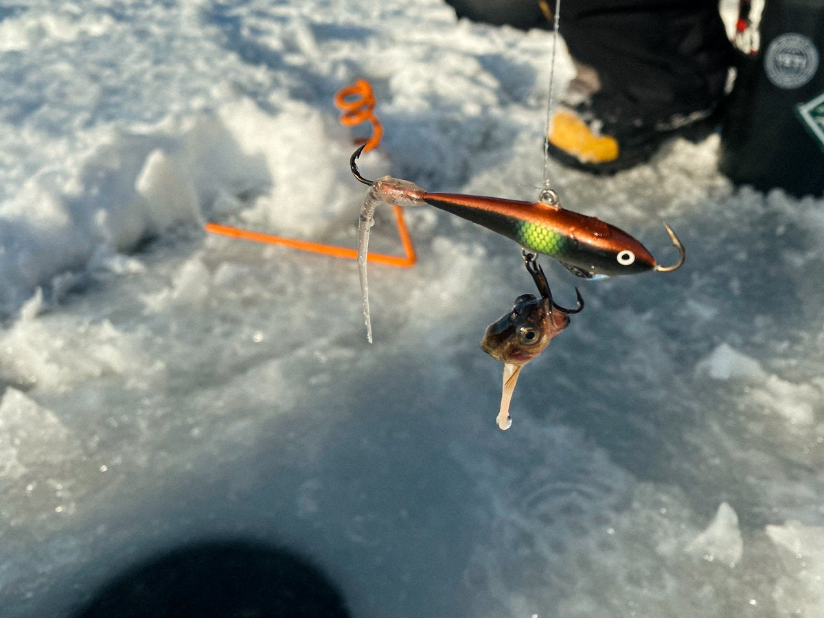 NILS FlyEye 8cm Lure (Final Clearance)