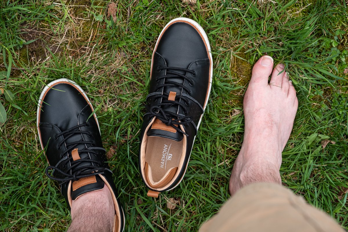 Men's Earthing Leather Walker Shoes