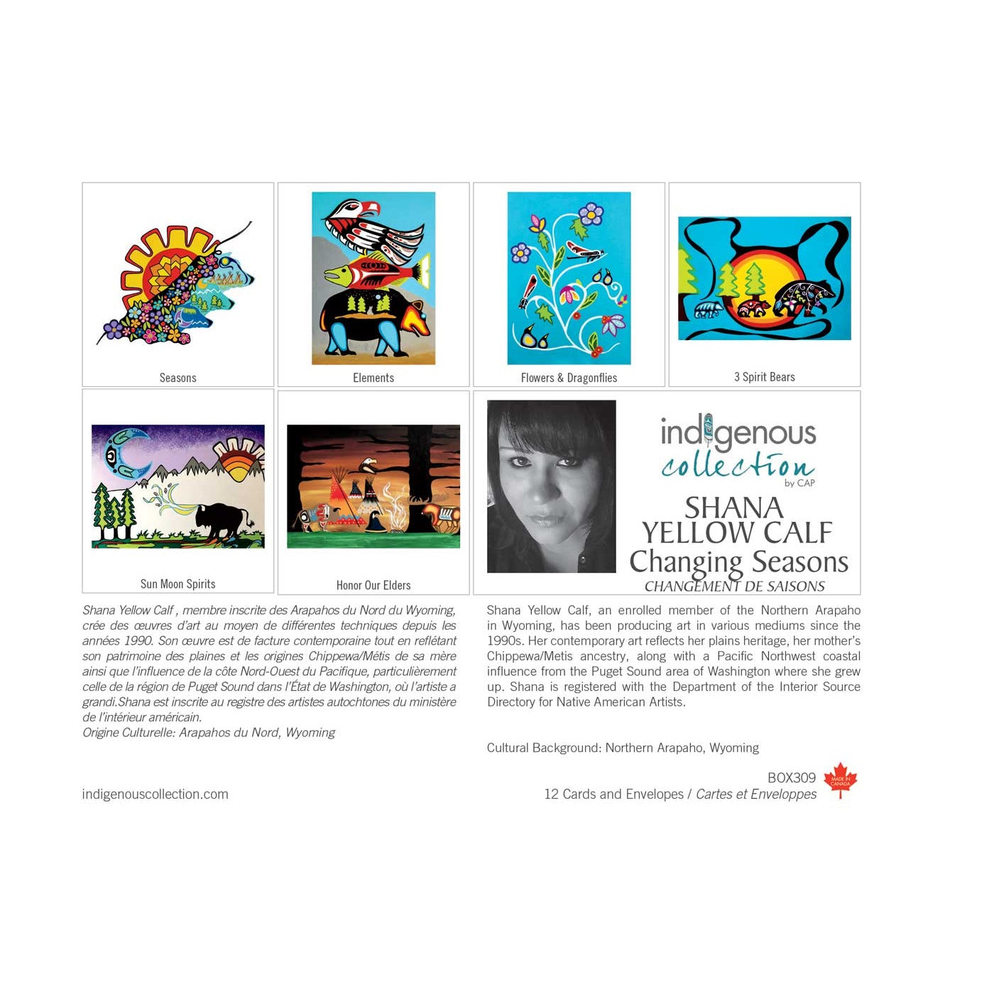 Indigenous Art Boxed Note Cards