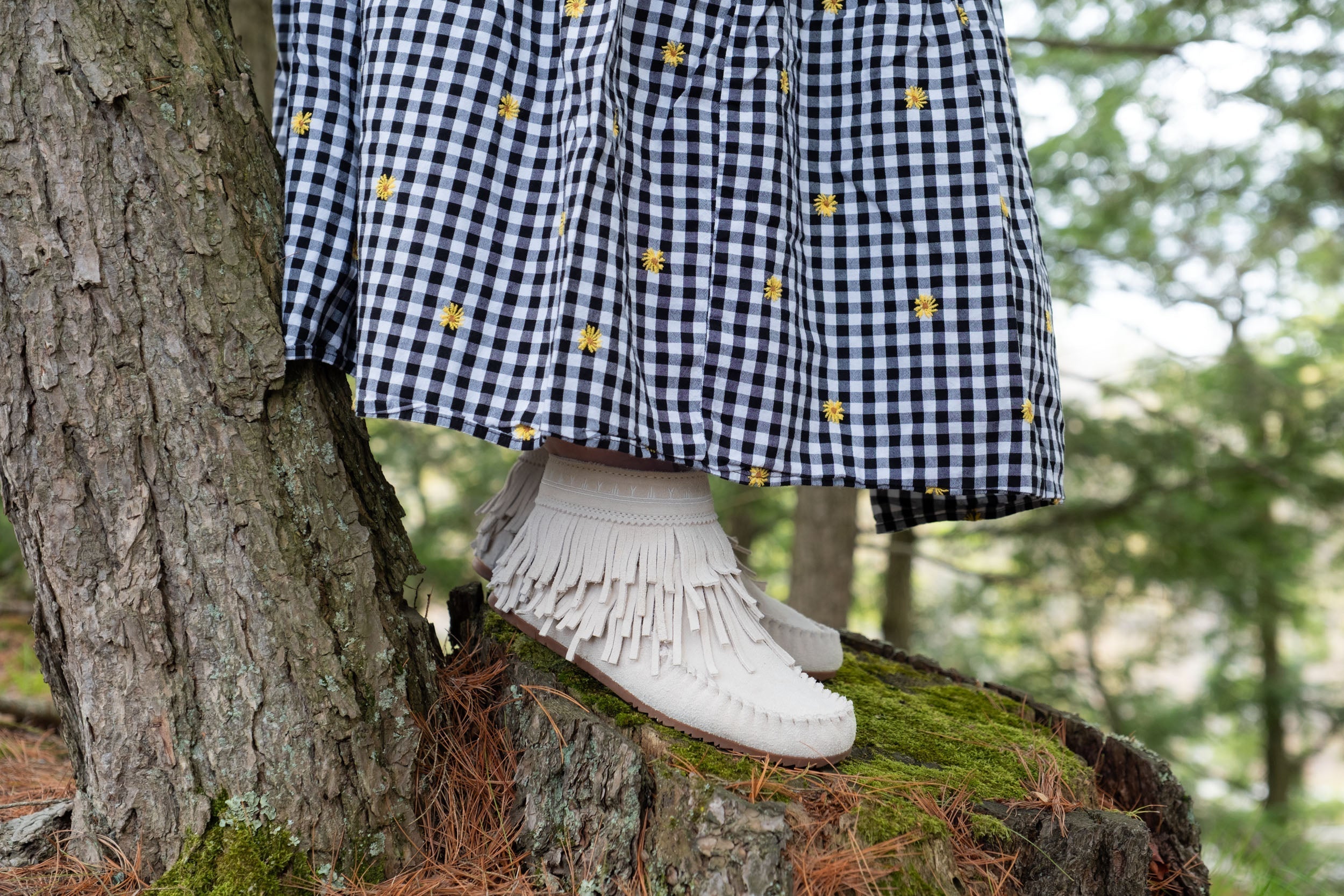 A Little Whimsy