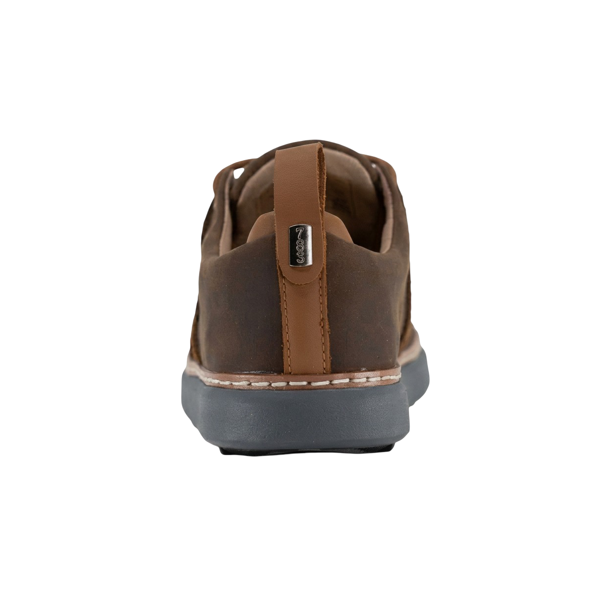 Men's Earthing Leather Walker Shoes (Final Sale)
