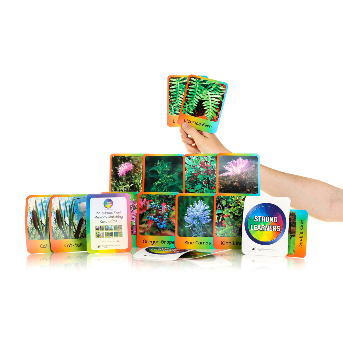 Indigenous Plants Memory Matching Cards