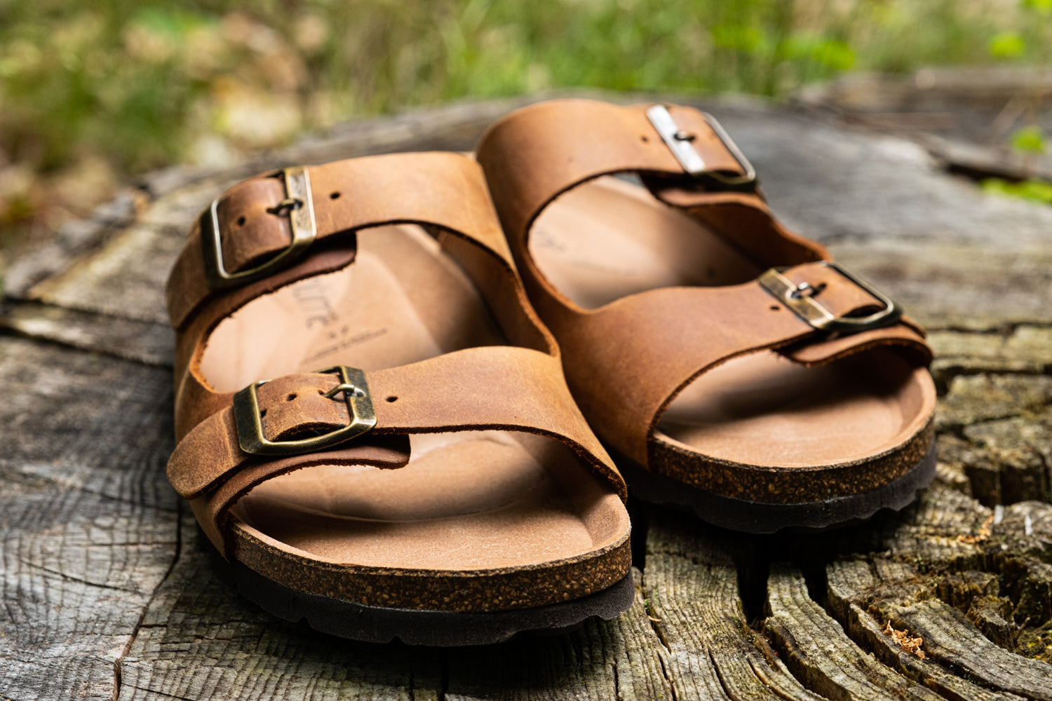 Women's Earthing Ciara Sandals