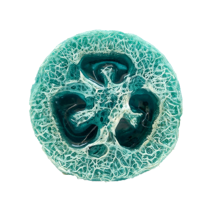 Loofah Glycerin Soap