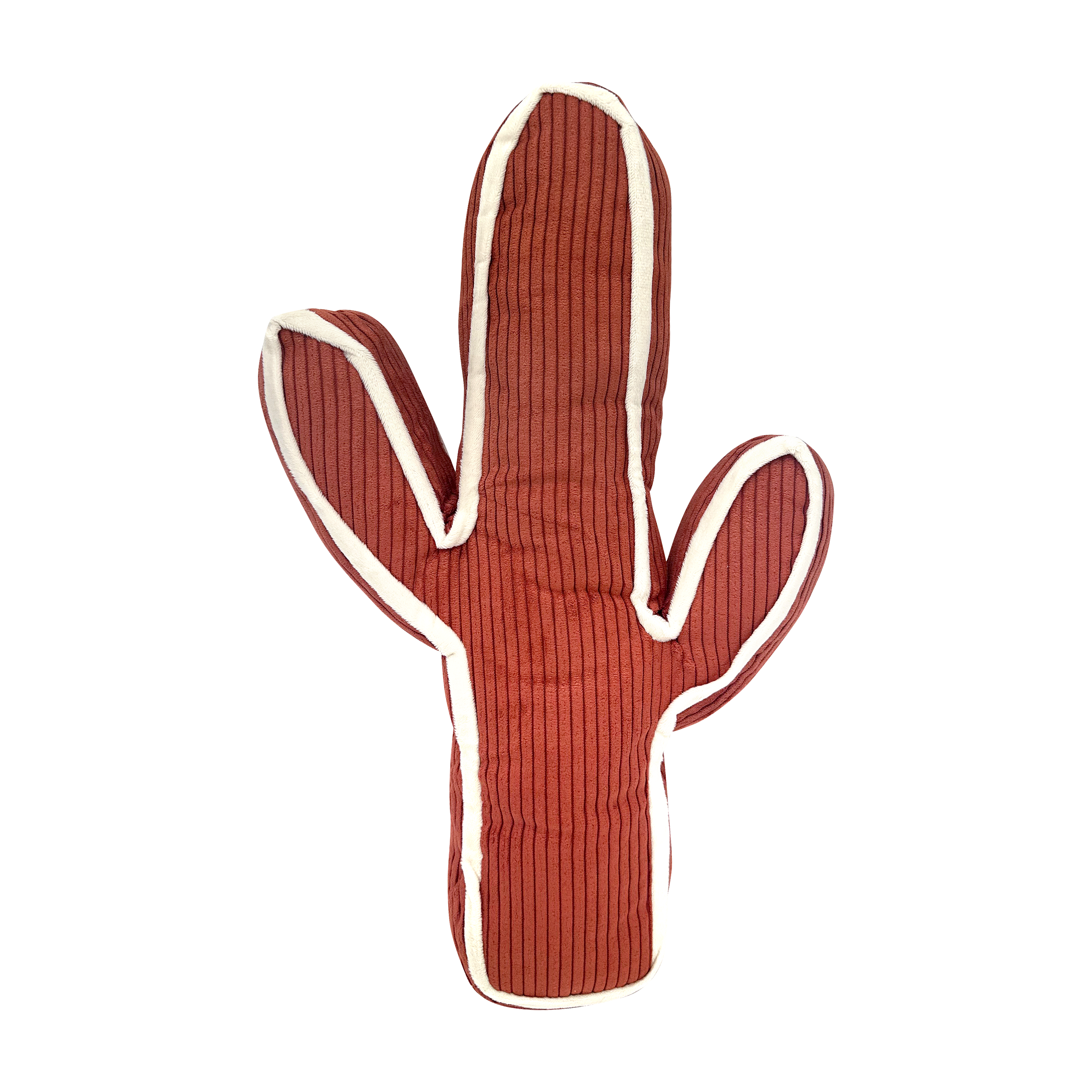 Cactus Accent Pillow
