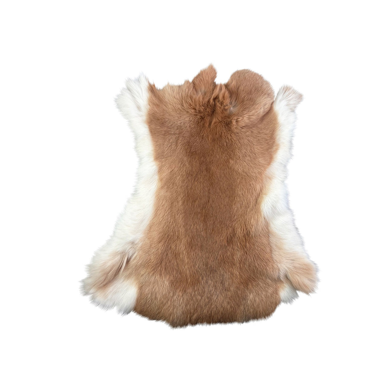 Rabbit Fur Skin