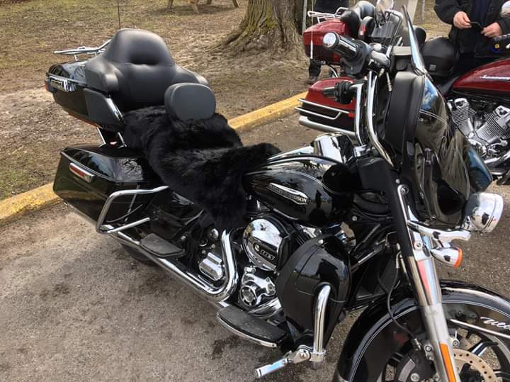 Motorcycle Seat Cover