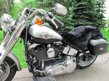 Motorcycle Seat Cover