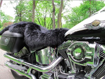 Motorcycle Seat Cover